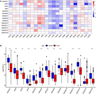 Integrative Analysis of the Expression of SIGLEC Family Members in Lung Adenocarcinoma via Data Mining